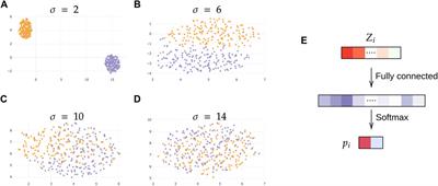 Prediction of Treatment Response in Triple Negative Breast Cancer From Whole Slide Images